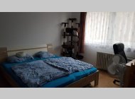 Pronájem bytu 1+1 Brno - Jundrov